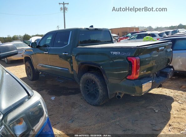 5TFMC5DBXPX027242 2023 TOYOTA TUNDRA HYBRID Зеленый Панорамный вид салона 360°