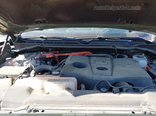 5TFMC5DBXPX027242 2023 TOYOTA TUNDRA HYBRID Зеленый Вид сзади