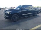 2025 Toyota Tundra Platinum Black vin: 5TFNA5DB2SX318076