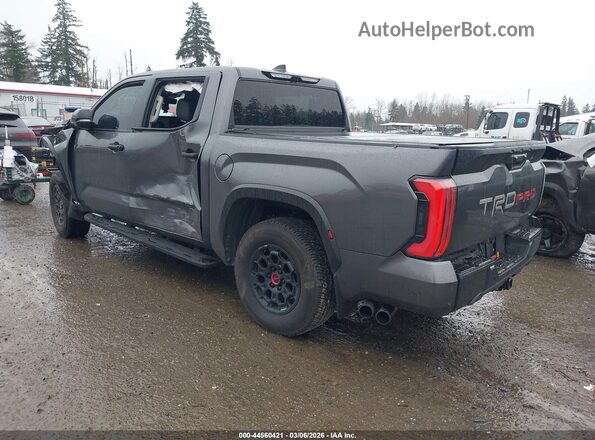 5TFPC5DBXPX033507 2023 TOYOTA TUNDRA HYBRID Gray Tył lewy
