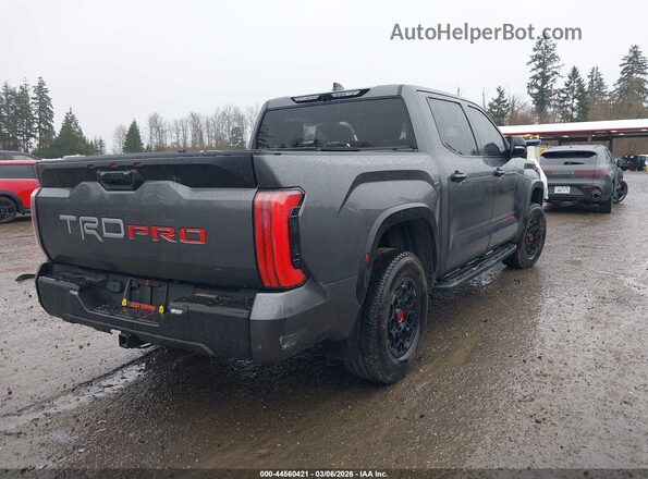 5TFPC5DBXPX033507 2023 TOYOTA TUNDRA HYBRID Gray Tył prawy