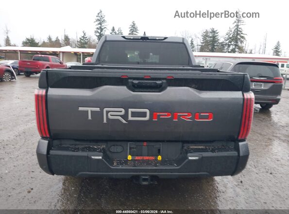 5TFPC5DBXPX033507 2023 TOYOTA TUNDRA HYBRID Gray 