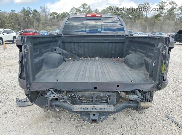 5TFRM5F10GX106717 2016 TOYOTA TUNDRA Серый Вид сзади