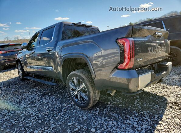 5TFVC5DB6PX015660 2023 TOYOTA TUNDRA Серый Задняя левая четверть
