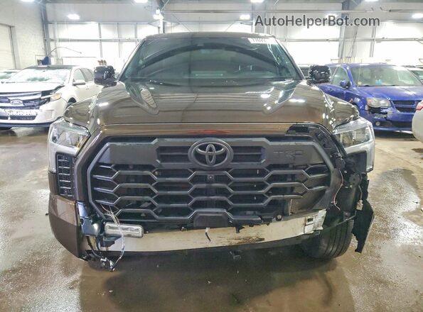 5TFWA5DB9SX251643 2025 TOYOTA LIMITED Коричневый Вид спереди