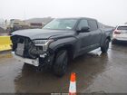 2024 Toyota Tundra Limited Gray vin: 5TFWA5EC4RX035149