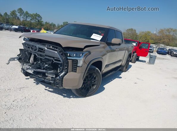 5TFWA5EC4TX054064 2026 TOYOTA TUNDRA Коричневый Передняя левая четверть