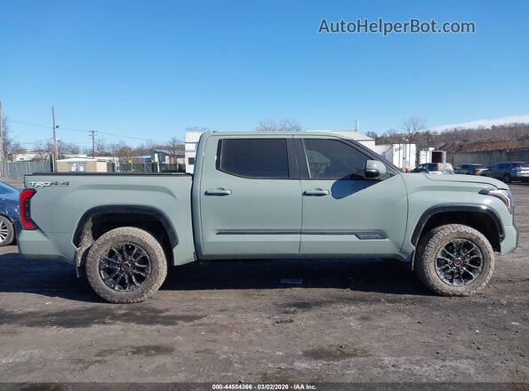 5TFWC5DB3RX042032 2024 TOYOTA TUNDRA HYBRID Серый Вид задней части салона