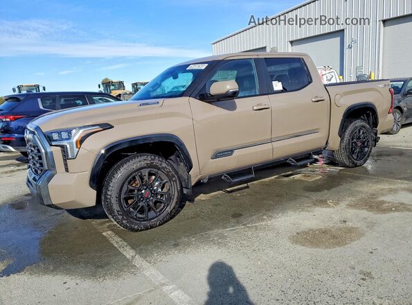 5TFWC5DB3TX123751 2026 TOYOTA TUNDRA Brown Przód lewy