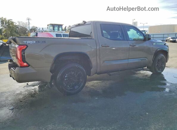 5TFWC5DB3TX123751 2026 TOYOTA TUNDRA Brown Tył prawy