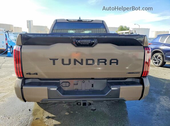 5TFWC5DB3TX123751 2026 TOYOTA TUNDRA Brown Widok z tyłu