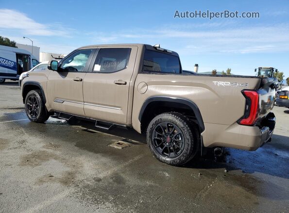 5TFWC5DB3TX123751 2026 TOYOTA TUNDRA Brown Widok naklejki z numerem VIN