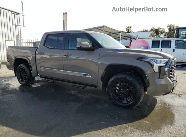 5TFWC5DB3TX123751 2026 TOYOTA TUNDRA Brown Widok wnętrza 360 stopni