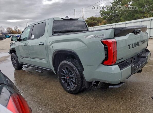 5TFWC5DB7TX118911 2026 TOYOTA TUNDRA Серый Задняя левая четверть