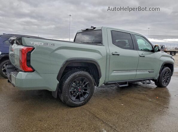 5TFWC5DB7TX118911 2026 TOYOTA TUNDRA Серый Задняя правая четверть