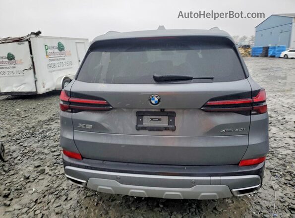 5UX23EU00S9W29598 2025 BMW X5 Gray Widok z tyłu