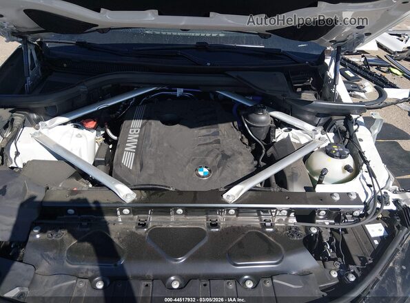 5UX23EU05S9Y84179 2025 BMW X5 Белый Вид сзади