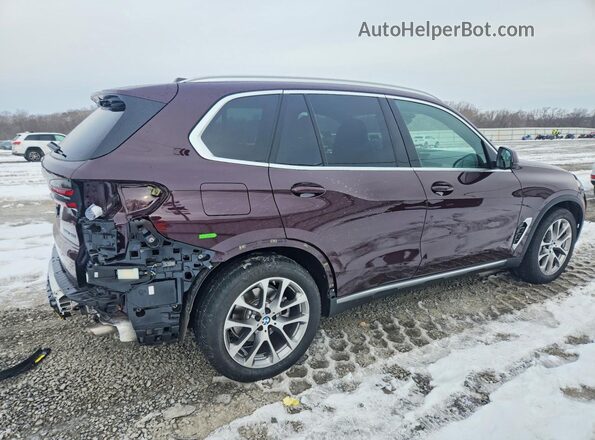 5UX23EU07R9V74397 2024 BMW X5 Фиолетовый Задняя правая четверть