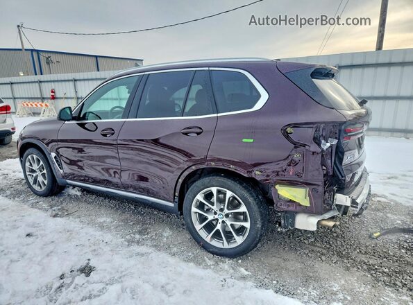 5UX23EU07R9V74397 2024 BMW X5 Фиолетовый Задняя левая четверть