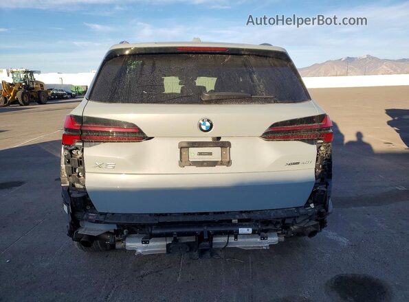 5UX23EU08R9T87265 2024 BMW X5 Серый Вид сзади