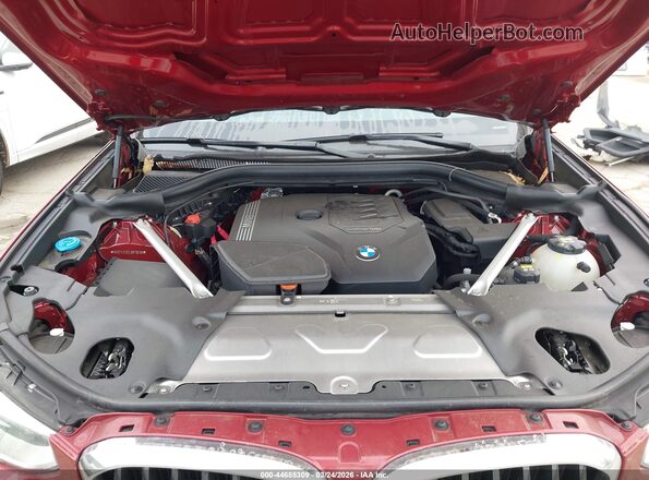 5UX2V1C02L9B79039 2020 BMW X4 Красный Вид сзади