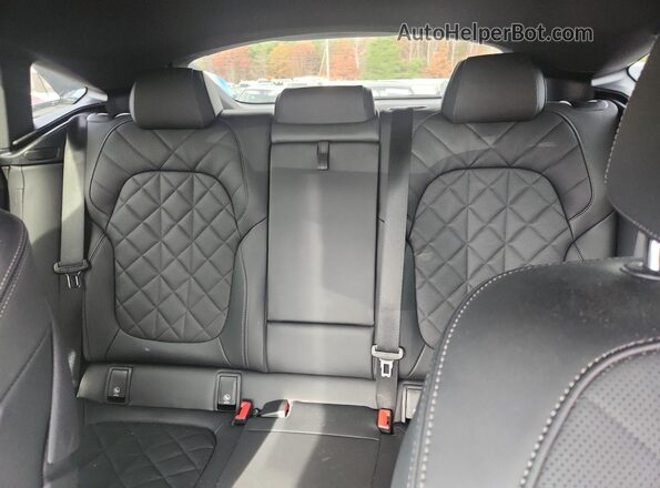 5UX33EX02R9V89213 2024 BMW X6 Серый Вид задних сидений