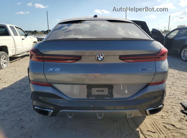 5UX33EX04S9X32183 2025 BMW X6 Серый 