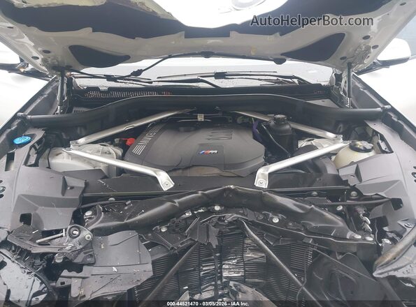 5UX33EX08S9006214 2025 BMW X6 Белый Вид сзади