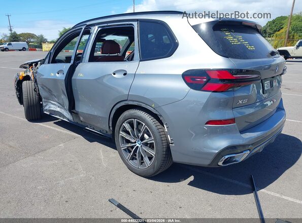 5UX43EU01R9S63167 2024 BMW X5 Серебряный Задняя левая четверть