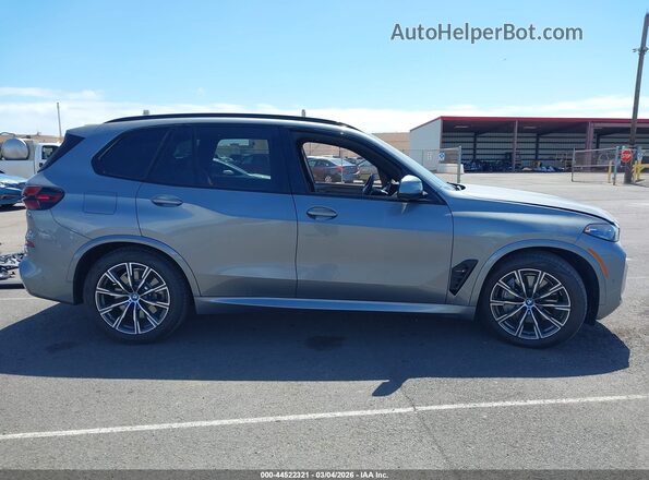 5UX43EU01R9S63167 2024 BMW X5 Серебряный Панорамный вид салона 360°