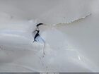 2022 Bmw X7 Xdrive40i White vin: 5UXCW2C02N9L67809