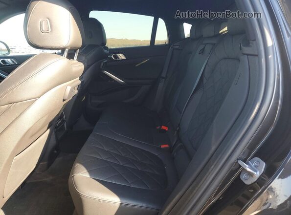 5UXCY6C03P9P41235 2023 BMW X6 Gray Widok wnętrza z tyłu