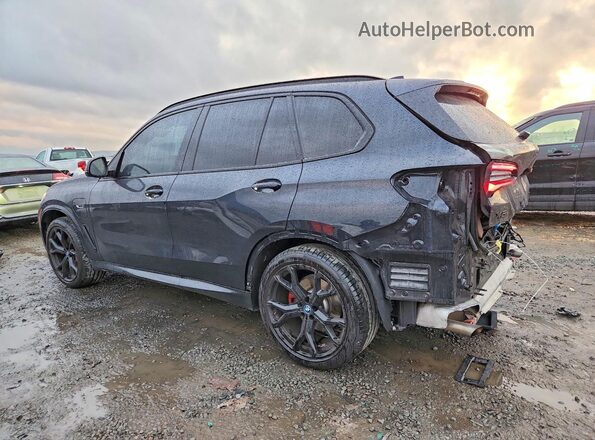 5UXTA6C04P9P91677 2023 BMW X5 Black Tył lewy