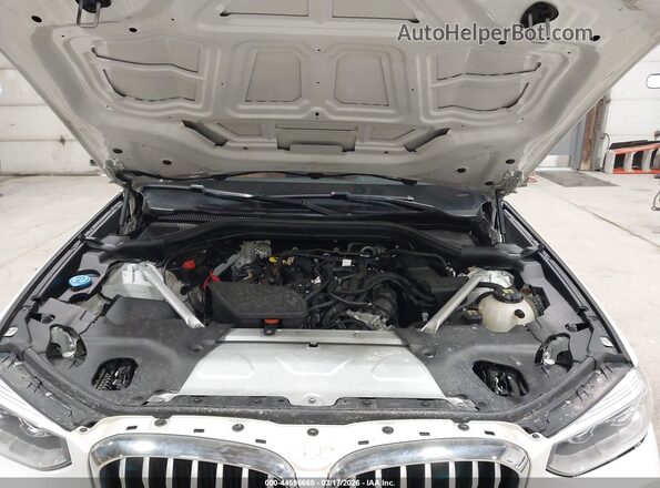 5UXTY5C04M9F68642 2021 BMW X3 Белый Вид сзади