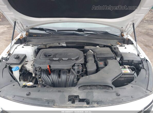 5XXGU4L39GG002192 2016 KIA OPTIMA White Вид ззаду