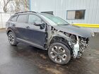 2024 Kia Sportage X Line Black vin: 5XYK6CDF3RG164602