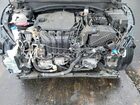 2024 Kia Sportage X Line Black vin: 5XYK6CDF3RG164602