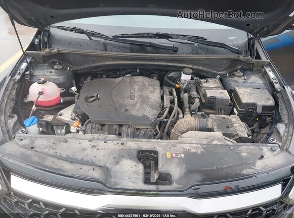 5XYK6CDF3RG191833 2024 KIA SPORTAGE Gray Widok z tyłu