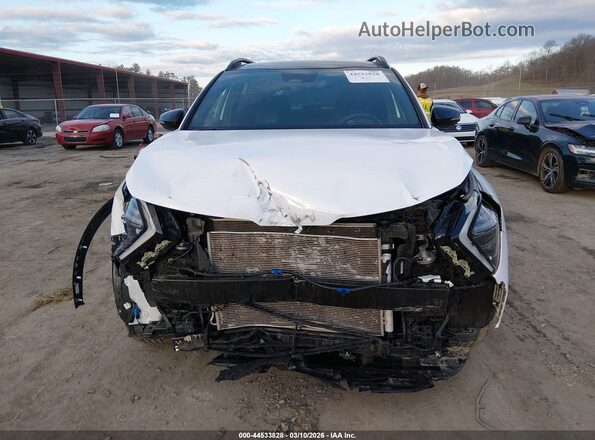 5XYK6CDF9RG206464 2024 KIA SPORTAGE White Widok wnętrza z tyłu