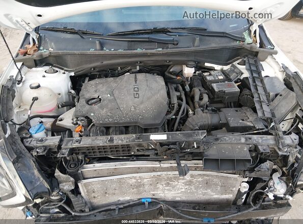 5XYK6CDF9RG206464 2024 KIA SPORTAGE White Widok z tyłu