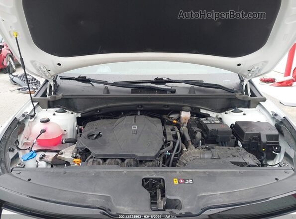 5XYK7CDF0RG209556 2024 KIA SPORTAGE White Widok z tyłu