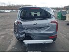 2021 Kia Telluride Lx Light Blue vin: 5XYP2DHC5MG123081