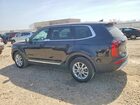 2022 Kia Telluride Lx Black vin: 5XYP2DHC9NG284700