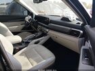 2024 Kia Telluride Ex Black vin: 5XYP3DGC1RG440894