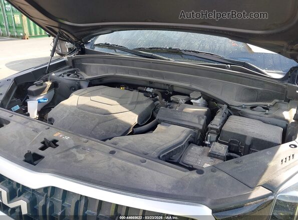 5XYP3DGC1RG440894 2024 KIA TELLURIDE Black Widok z tyłu