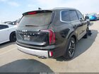 2024 Kia Telluride Ex Black vin: 5XYP3DGC1RG440894