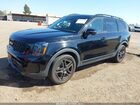 2024 Kia Telluride Ex X-line Black vin: 5XYP3DGC7RG446683