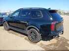 2024 Kia Telluride Ex X-line Black vin: 5XYP3DGC7RG446683