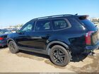 2024 Kia Telluride Ex X-line Black vin: 5XYP3DGC7RG446683