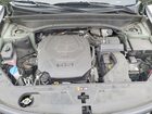 2024 Kia Telluride Ex Green vin: 5XYP3DGC9RG497215